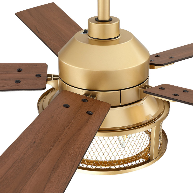 Ventilateur de plafond standard à 5 pales 52 po avec télécommande et ensemble d'éclairage inclus Rippeon