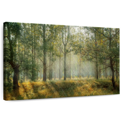 Alvord Green Forest Landscape