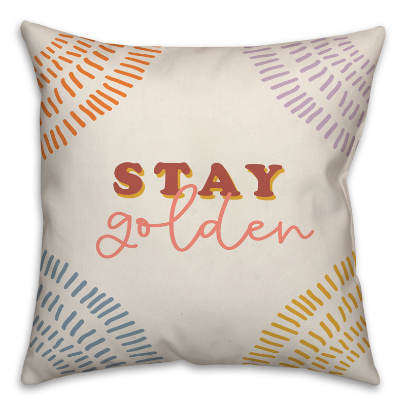  Housse de coussin Stay Insert, 16 po x 1 po