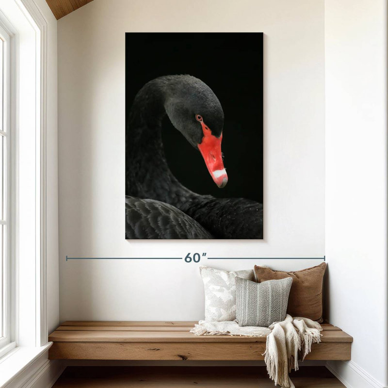 Brampt Black Swan Head, 48" H x 32" W