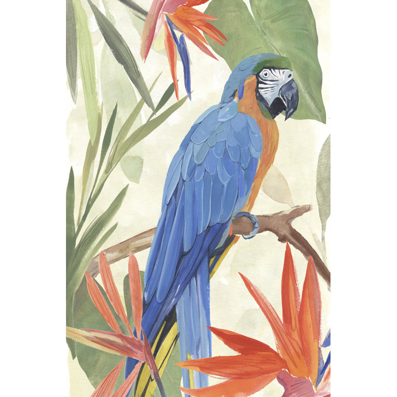 Composition de perroquet tropical IV, H 30 po x l 20 po, Oui, Cadre simple noir