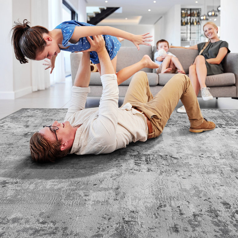 Area Rug, Collection 5X7 Light Grey / Abstract
