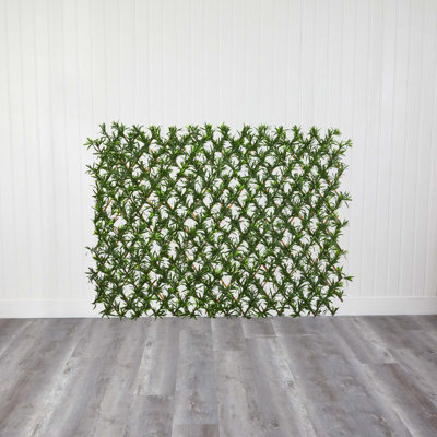 Expandable Podocarpus Fence UV Resistant & Waterproof