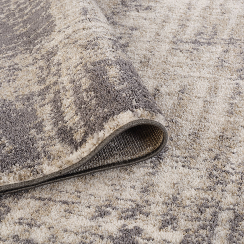 Tapis gris tissé à la machine Mackensy, Rectangle 8 pi 10 po x 11 pi 9 po
