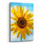 "Garde debout" par Pamela Plummer-101627363