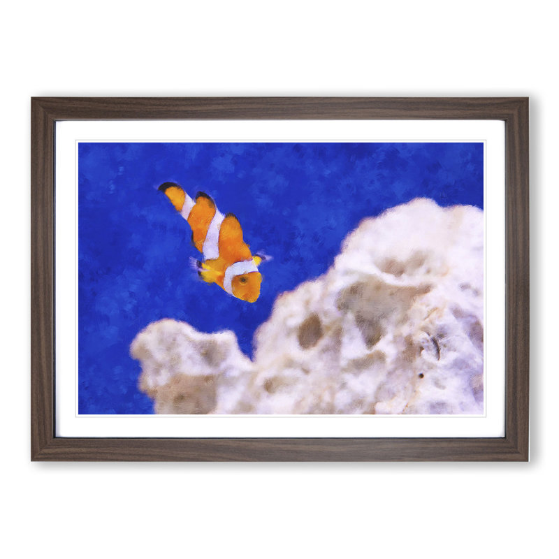 Clownfish Vol.2 - Picture Frame Graphic Art, 36cm H x 48cm W x 2cm D, Walnut Framed