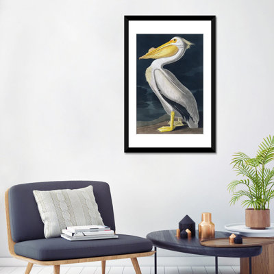 Pelican