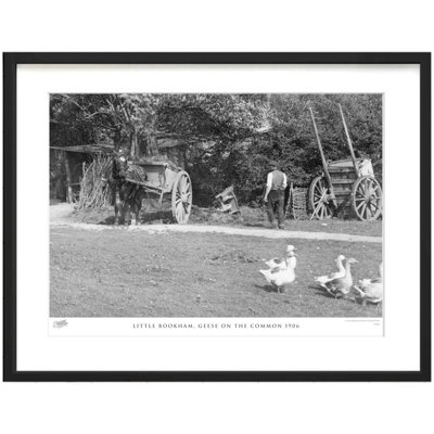 Little Bookham, Geese on the Common 1906 1 Piece Single Picture Frame Wall Art