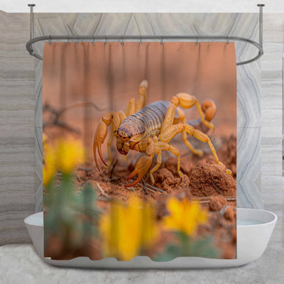 Rideau de douche Scorpion - décor de salle de bain insecte 16668