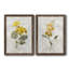 Canari lin géranium - ensemble de 2 reproductions d'art-755692019-755692031-755692029