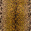 Leopardo Fabric