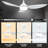 Aoise 45'' Ceiling Fan with LED Lights