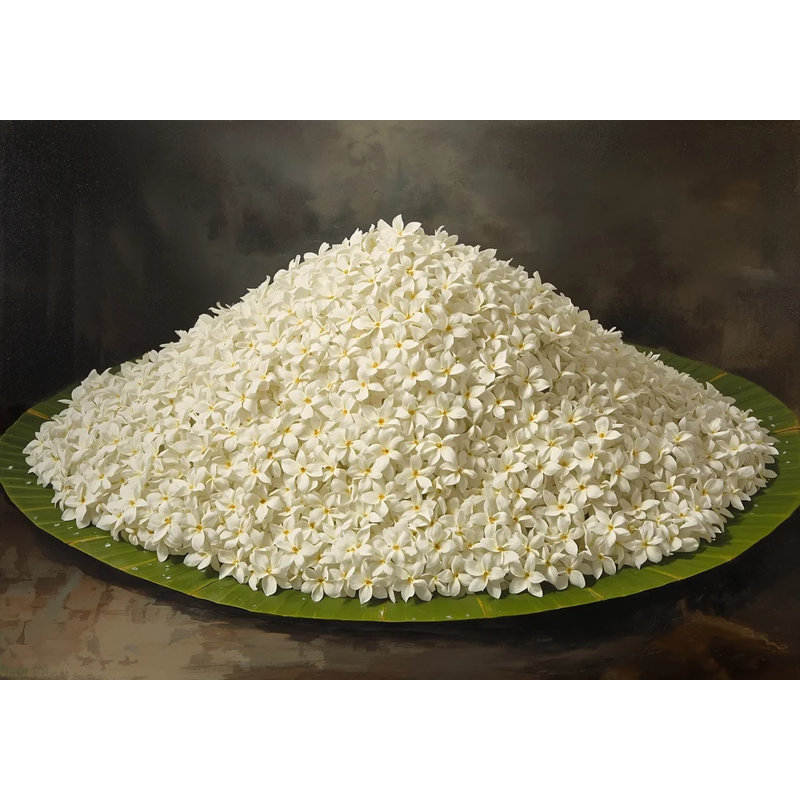 Mogra Abundance