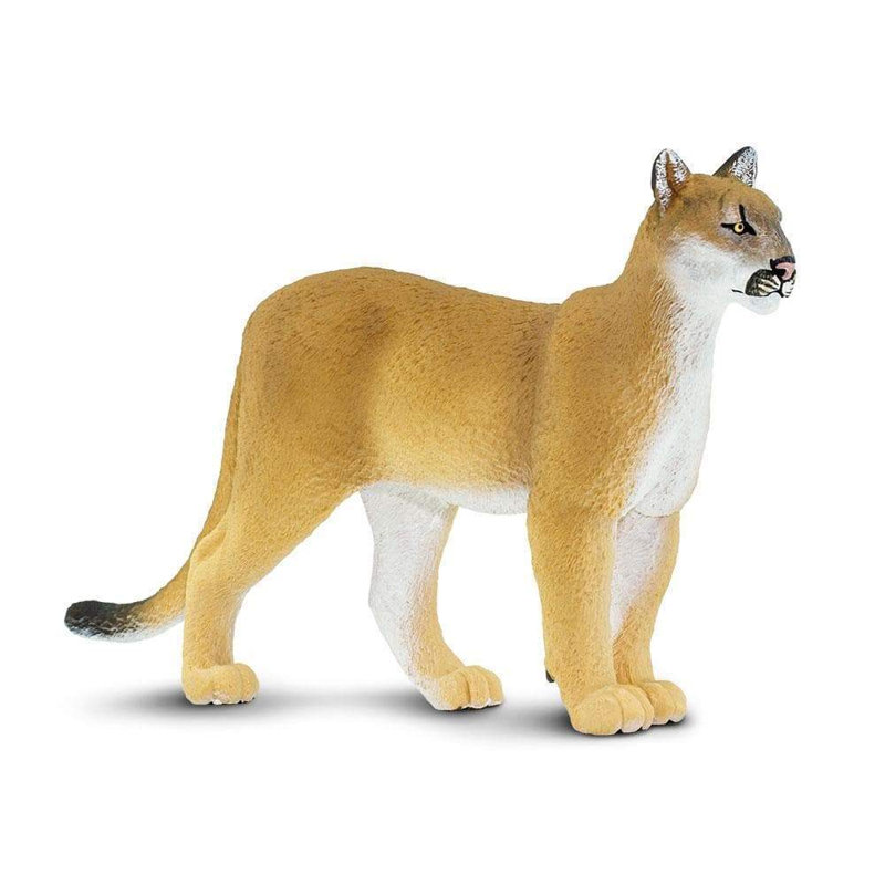 Florida Panther