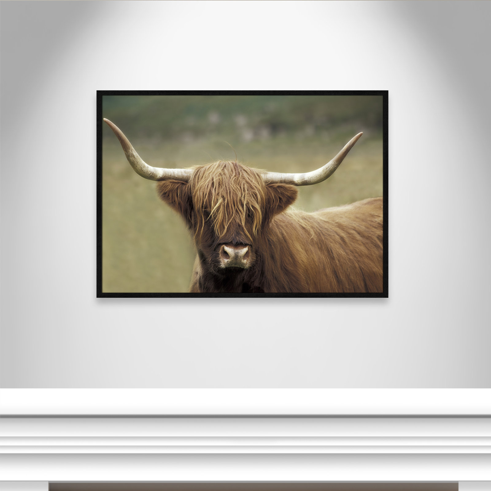 Highland Afternoon by Danita Delimont - Picture Frame Photograph, Black Wood Grain Framed, 29.5" H x 41.5" W x 0.75" D