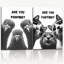 2 Piece Wrapped Canvas Wall Art