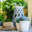 Pot Planter-2072116370