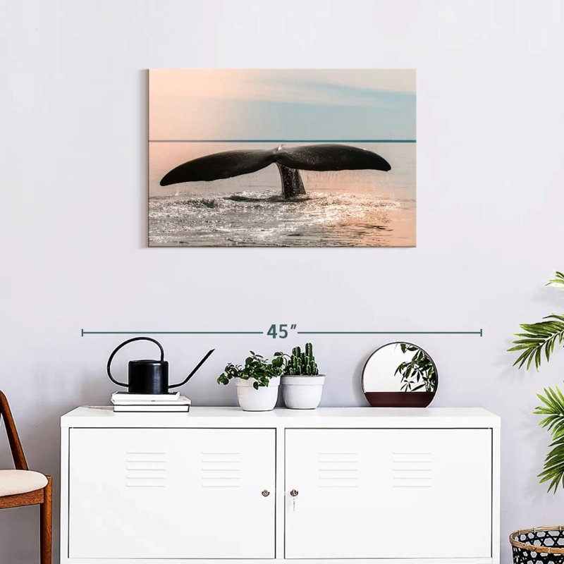 Patagonian Whale Tail, H 20 po x l 30 po
