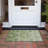 Machine Washable Indoor/Outdoor Xhevrie Aloe Rug-1975808394