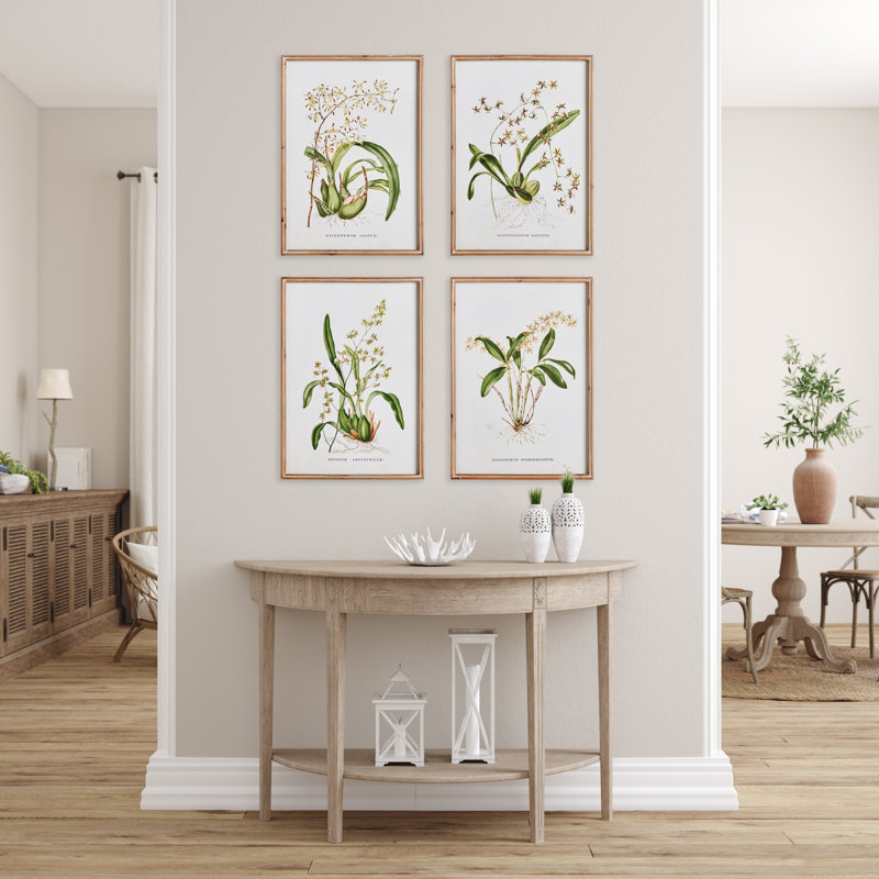 Orchid Assortment Study Prints