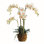 Stiles Handmade Light Pink Orchid with Root Ball