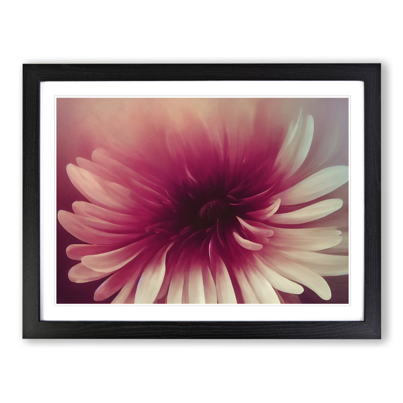 Cute Chrysanthemum Flower Vol.3 - Single Picture Frame Painting, Black, 46cm H x 64cm W x 2cm D