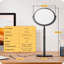 Metal Novelty Lamp