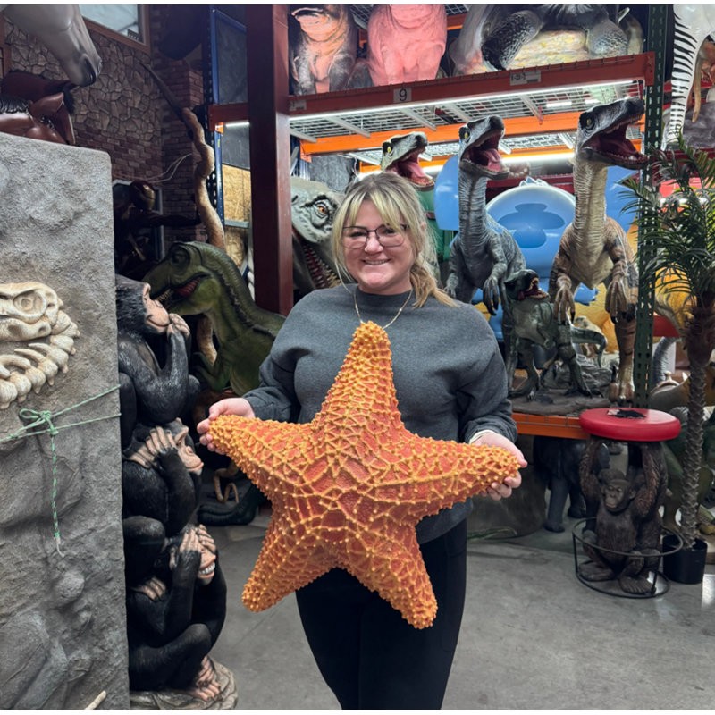 Comic Cushion Starfish Statue