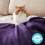 Bedsure Fitted Sheet Deep - Bed Sheets Extra Deep Pocket made of Soft Brushed Microfiber for Bed-1928280637-1928524771