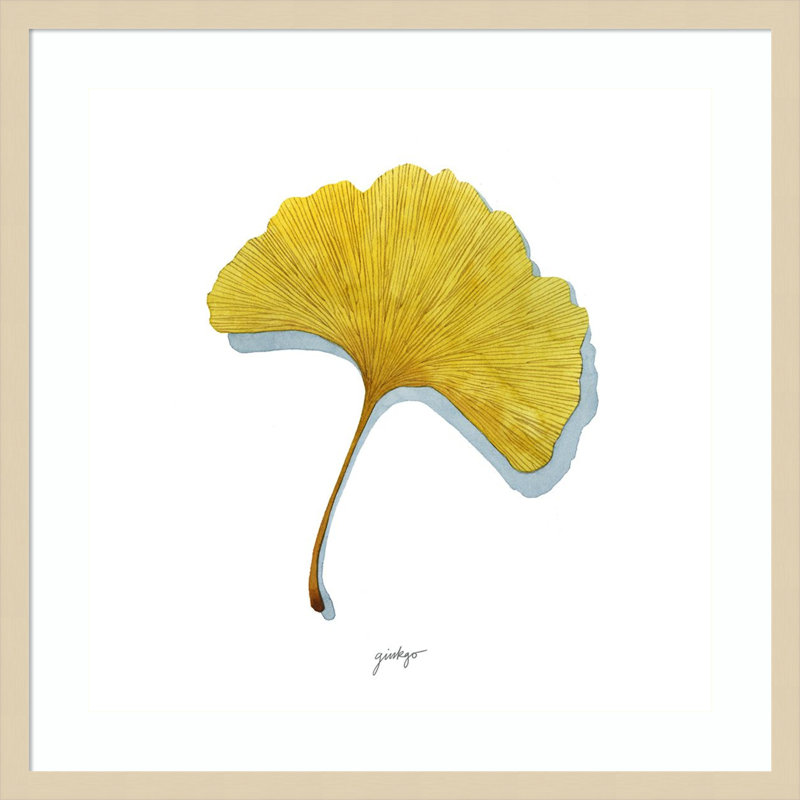 «Golden Ginkgo Study II» par Grace Popp, impression sur bois encadrée, H 25 po x l 25 po