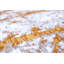 Abstract Area Rug-70781917