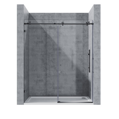 Porte de douche coulissante l 48 po x H 76 po
