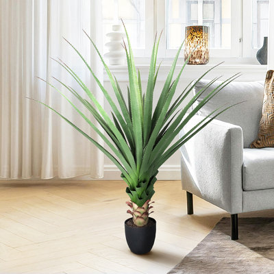 Plante Cobb 48 po