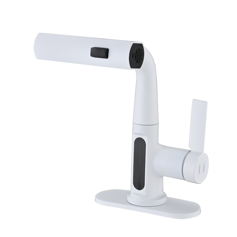 Robinet de salle de bain extractible à un trou, Argent