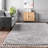 Modern Tasseled Shag Area Rug-128861773