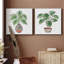 Boho Greenery I - ensemble de 2 peintures-172721886-172721872