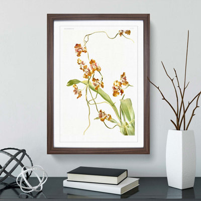 Magnolia Flowers Illustration Tab. 60 by Frederick Sander - Picture Frame Painting Print