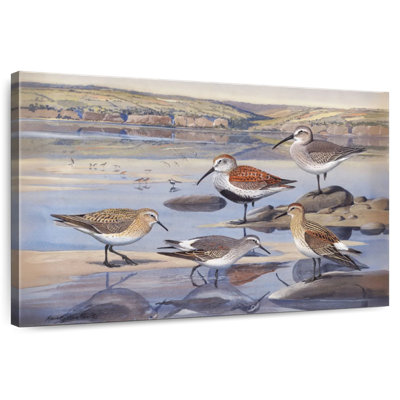 Five Sandpipers