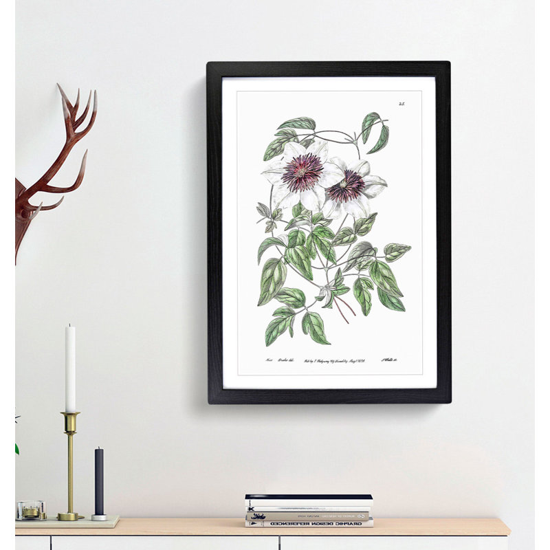 White Leather Clematis Flower - Framed Print, 36cm H x 27cm W x 2cm D, Black Framed