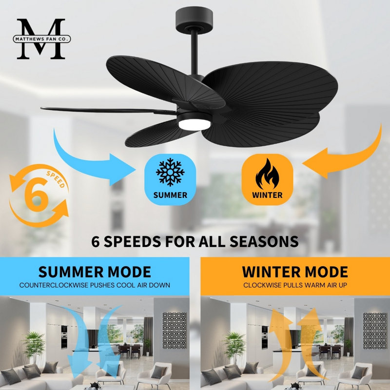 Alessandra Tropical - Five Blade Ceiling Fan - Integrated LED -Matte Black Finish -Light Blue Blades, Matte Black