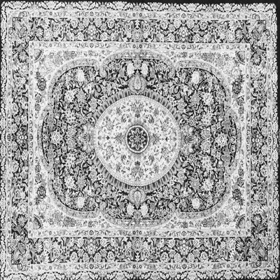 Oriental Indoor Rug