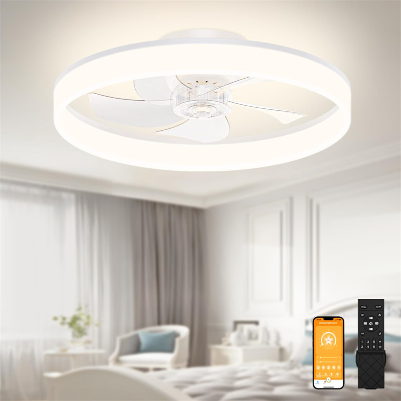 Ceiling Fan with LED Lights, Clear