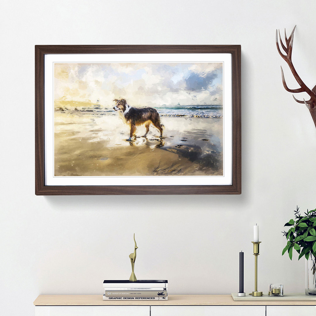 Border Collie Dog at the Beach in Abstract - Framed Print