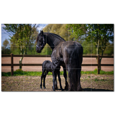 Murale en céramique satinée Horse Photo 4,25 po x 4,25 po