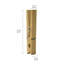 Clothes Pin