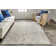 Ambrette Abstract Indoor Rug