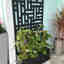 Customer photo 2 of 2
