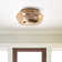 Borup 13.5'' Ceiling Fan with Light Kit
