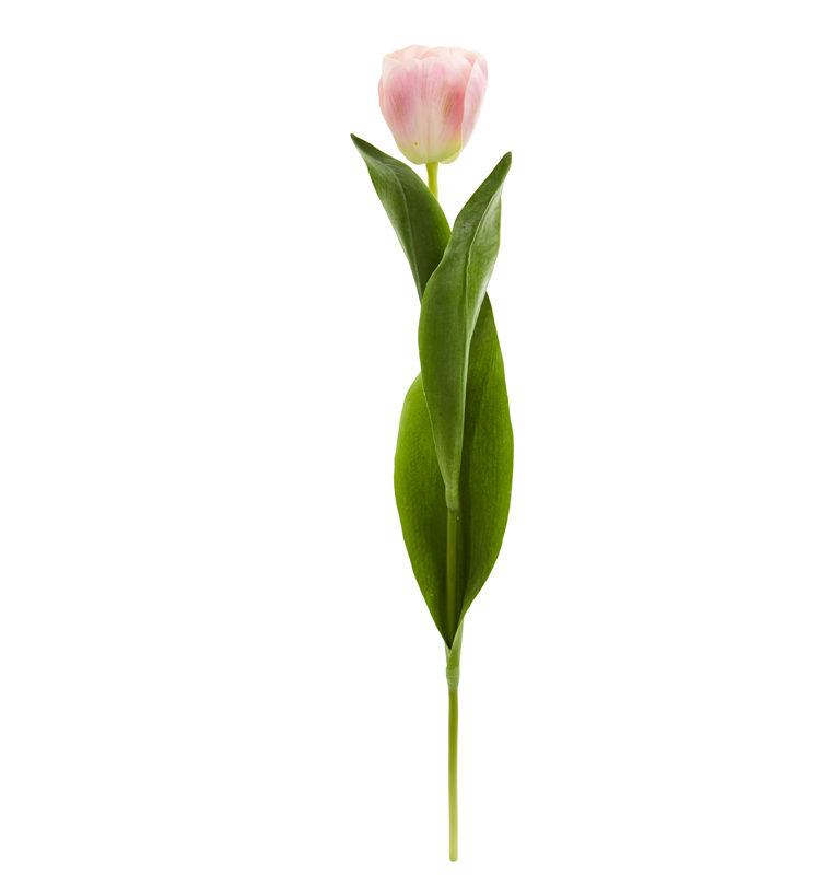 Centre de table tulip, Rose