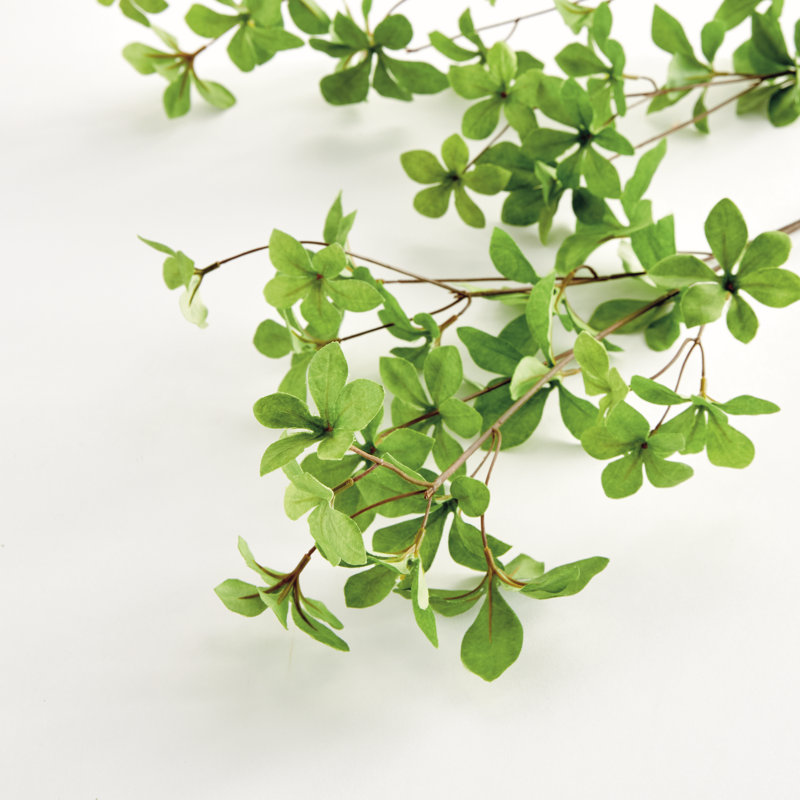 Meadowood Japanese Dodan Branch 50"